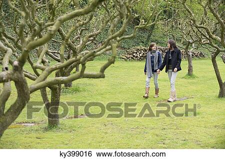 Woman with her daughter walking in an orchard View Large Photo Image Stock Photograph - Woman with her daughter walking in an orchard. Fotosearch