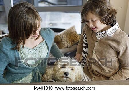 Boy and his sister playing with a dog View Large Photo Image Stock Image - Boy and his sister playing with a dog. Fotosearch