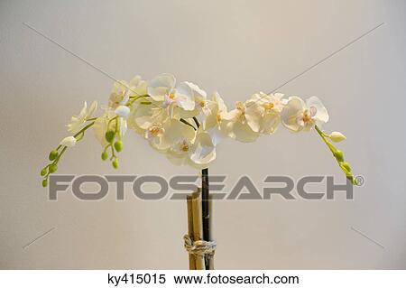 Flowers View Large Photo Image Stock Photography - Flowers. Fotosearch