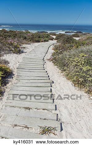 Boardwalk leading towards the beach View Large Photo Image Stock Image - Boardwalk leading towards the beach. Fotosearch