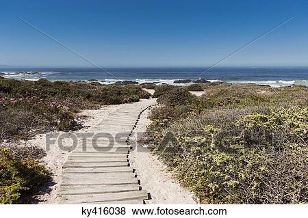 Boardwalk leading towards the beach View Large Photo Image Stock Photo - Boardwalk leading towards the beach. Fotosearch