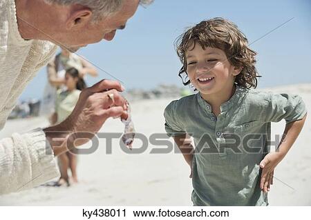 Man showing a jellyfish to his grandson on the beach View Large Photo Image Stock Image - Man showing a jellyfish to his grandson on the beach. Fotosearch