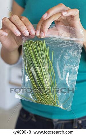 Woman packing leaf vegetables for storage View Large Photo Image Stock Photo - Woman packing leaf vegetables for storage. Fotosearch