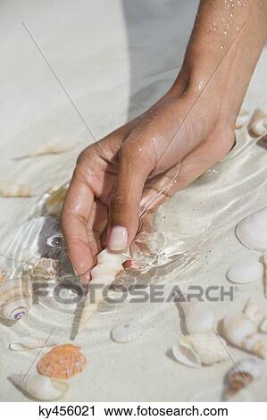 Woman picking seashell on the beach View Large Photo Image Stock Image - Woman picking seashell on the beach. Fotosearch