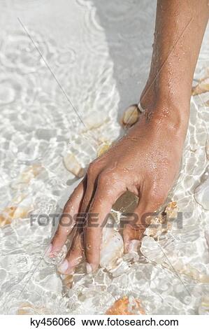 Woman picking seashell on the beach View Large Photo Image Stock Photograph - Woman picking seashell on the beach. Fotosearch
