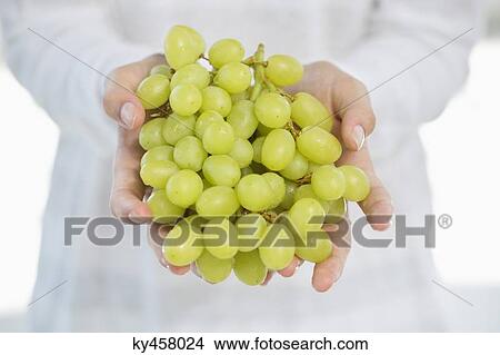 Close-up of a woman's hand holding bunch of grapes View Large Photo Image Picture - Close-up of a woman's hand holding bunch of grapes. Fotosearch