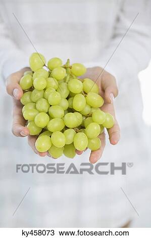 Stock Image - Close-up of a woman's hand holding bunch of grapes. Fotosearch