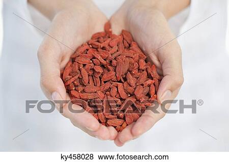Stock Photo - Close-up of a woman's hand holding dried raisins. Fotosearch