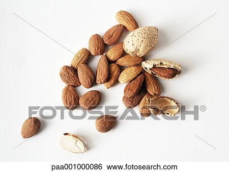 Almonds View Large Photo Image Stock Photograph - Almonds. Fotosearch
