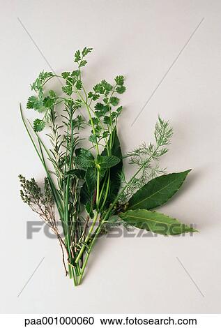 Assortment of fresh herbs View Large Photo Image Stock Image - Assortment of fresh herbs. Fotosearch