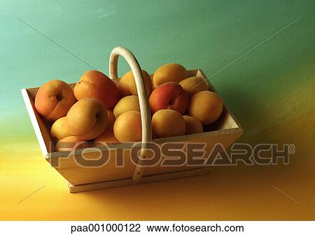 Stock Image - baskets, apricots, basket, fruits, fruit, yellow, apricot. Fotosearch