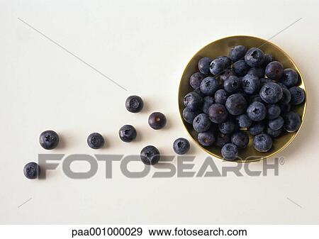 Stock Photo - Bowl of blueberries against white background, high angle view. Fotosearch