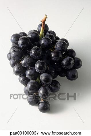 Bunch of black grapes against white background, close-up View Large Photo Image Stock Photo - Bunch of black grapes against white background, close-up. Fotosearch