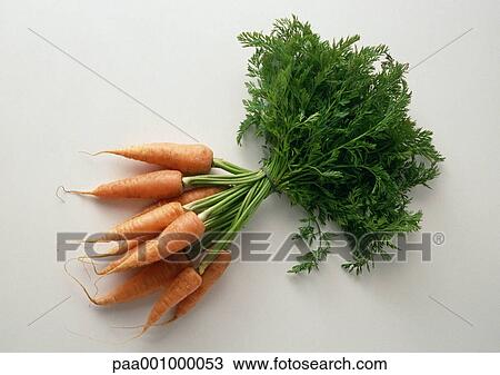 Stock Image - Bunch of carrots. Fotosearch