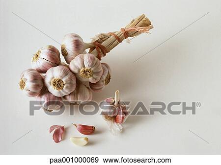 Bunch of garlic View Large Photo Image Stock Photo - Bunch of garlic. Fotosearch