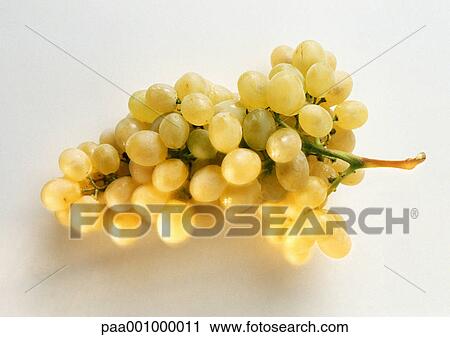 Stock Image - Bunch of green grapes, close-up. Fotosearch