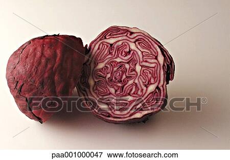 Stock Photo - cabbage, vegetable, vegetables, red, delicatessen, product, produce. Fotosearch