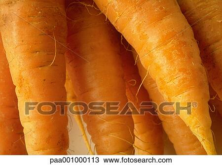 carrot, carrots, vegetable, vegetables, orange, delicatessen, product View Large Photo Image Stock Image - carrot, carrots, vegetable, vegetables, orange, delicatessen, product. Fotosearch