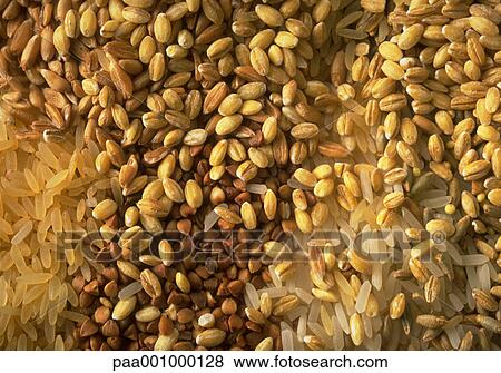 Stock Photo - cereal, cereals, yellow, delicatessen, product, produce, foodstuff. Fotosearch