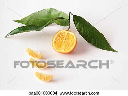 Clementine half with leaves and segments View Large Photo Image Picture - Clementine half with leaves and segments. Fotosearch