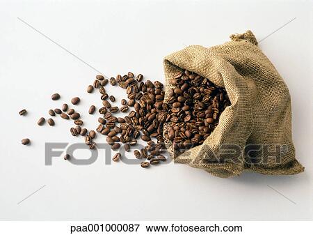 Coffee beans in and spilling out of burlap sack View Large Photo Image Stock Photo - Coffee beans in and spilling out of burlap sack. Fotosearch