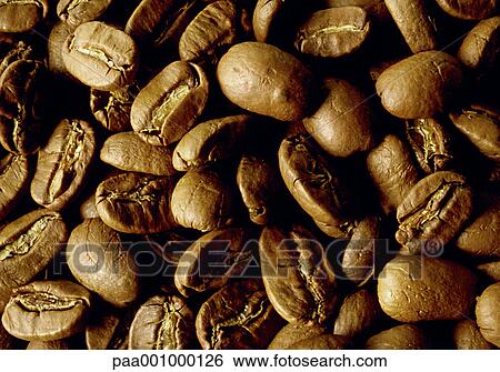 coffeebeans, product, produce, foodstuff, foodstuffs, food, Fruits View Large Photo Image Stock Photograph - coffeebeans, product, produce, foodstuff, foodstuffs, food, Fruits. Fotosearch