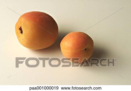 delicatessen, apricots, orange, fruits, fruit, product, apricot View Large Photo Image Stock Photo - delicatessen, apricots, orange, fruits, fruit, product, apricot. Fotosearch