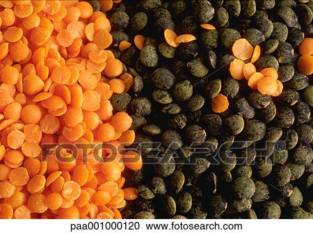 dried, vegetable, vegetables, lentil, lentils, orange, delicatessen View Large Photo Image Stock Image - dried, vegetable, vegetables, lentil, lentils, orange, delicatessen. Fotosearch
