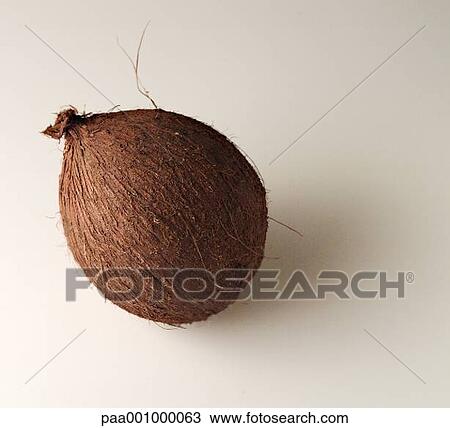 Stock Image - fruit, fruits, coconut, coconuts, delicatessen, product, produce. Fotosearch