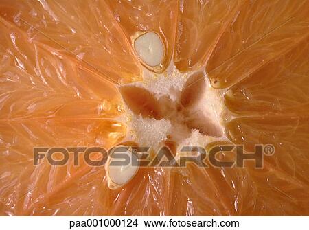 fruit, fruits, grapefruit, grapefruits, delicatessen, product, produce View Large Photo Image Picture - fruit, fruits, grapefruit, grapefruits, delicatessen, product, produce. Fotosearch
