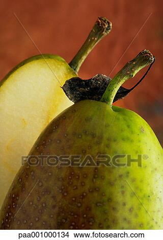 Picture - fruit, fruits, pear, pears, green, stalk, stalks. Fotosearch