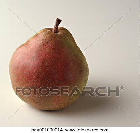 Picture - fruit, fruits, pear, pears, red, stalk, stalks. Fotosearch