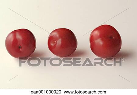 fruit, fruits, plum, plums, red, delicatessen, product View Large Photo Image Stock Image - fruit, fruits, plum, plums, red, delicatessen, product. Fotosearch