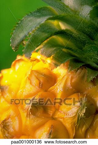 Stock Photograph - fruit, fruits, yellow, delicatessen, product, produce, foodstuff. Fotosearch
