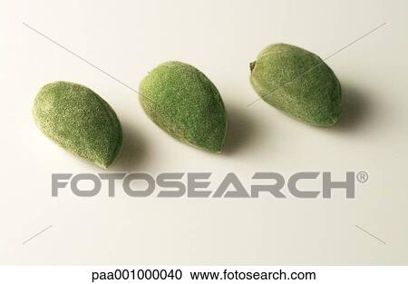Stock Image - green, almonds, fruits, fruit, fresh, delicatessen, almond. Fotosearch