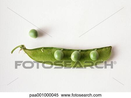 Green peas in half pod, close-up View Large Photo Image Stock Photography - Green peas in half pod, close-up. Fotosearch
