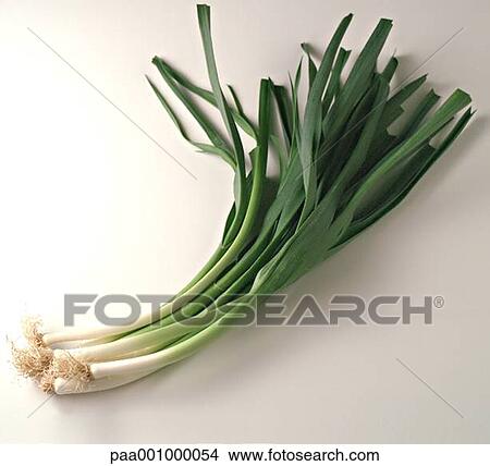 Legume Legumes Poireau Poireaux Vert Epicerie Fine Produit Image Paa Fotosearch