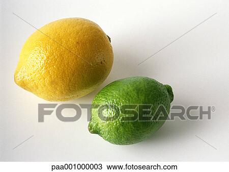 Stock Image - Lemon and lime. Fotosearch