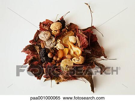 Nuts and dried fruits on bed of dried leaves View Large Photo Image Stock Photography - Nuts and dried fruits on bed of dried leaves. Fotosearch