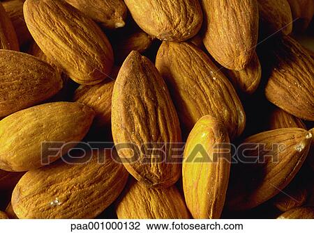 product, almonds, delicatessen, dried, fresh, produce, almond View Large Photo Image Stock Image - product, almonds, delicatessen, dried, fresh, produce, almond. Fotosearch