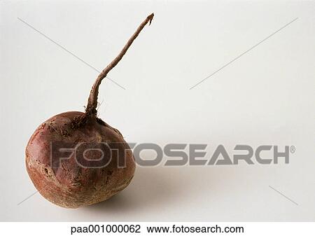 Raw beet, close-up View Large Photo Image Stock Image - Raw beet, close-up. Fotosearch