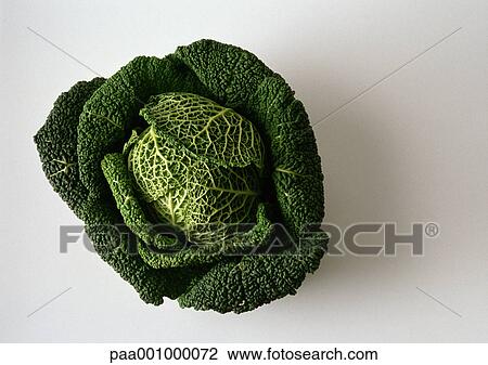 Savoy cabbage View Large Photo Image Stock Image - Savoy cabbage. Fotosearch