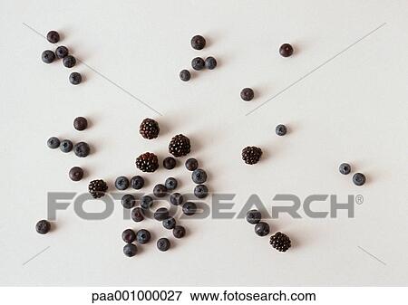 Stock Photo - Scattered blackberries and blueberries. Fotosearch