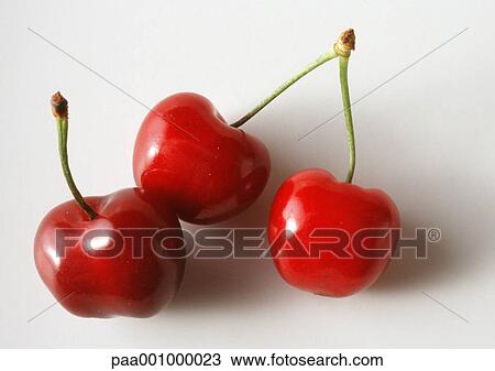 Three cherries against white background, close-up View Large Photo Image Stock Image - Three cherries against white background, close-up. Fotosearch