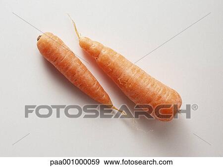 Two carrots View Large Photo Image Stock Photo - Two carrots. Fotosearch