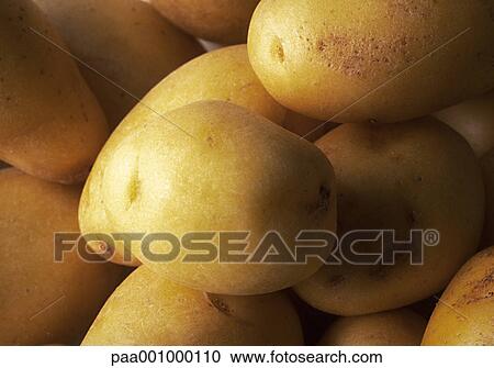 Stock Image - vegetable, vegetables, potato, potatoes, yellow, delicatessen, product. Fotosearch