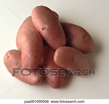 vegetable, vegetables, potato, potatoes, pink, delicatessen, product View Large Photo Image Stock Photo - vegetable, vegetables, potato, potatoes, pink, delicatessen, product. Fotosearch