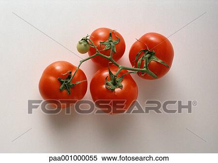 Vine tomatoes View Large Photo Image Stock Photography - Vine tomatoes. Fotosearch