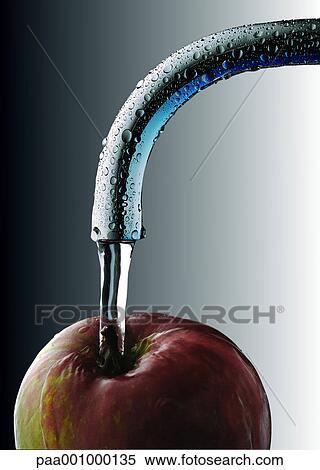 water, fruit, fruits, red, green, delicatessen, product View Large Photo Image Stock Photography - water, fruit, fruits, red, green, delicatessen, product. Fotosearch