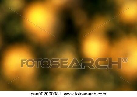 material, materials, texture, textures, blurred, background, backgrounds View Large Photo Image Stock Image - material, materials, texture, textures, blurred, background, backgrounds. Fotosearch